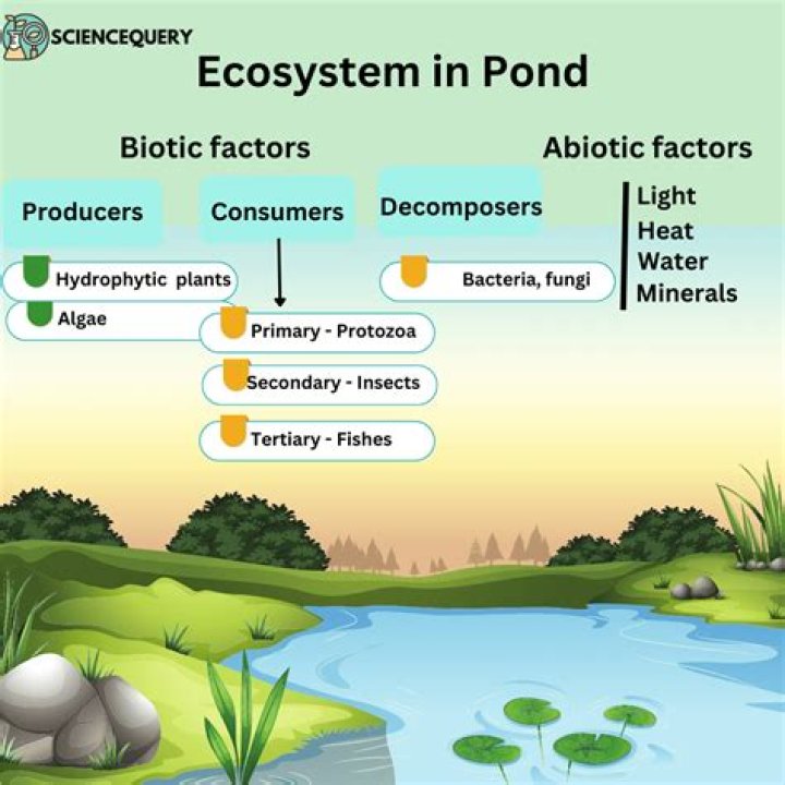 What are some biotic factors in a pond?