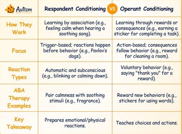 What are two other names for respondent conditioning?