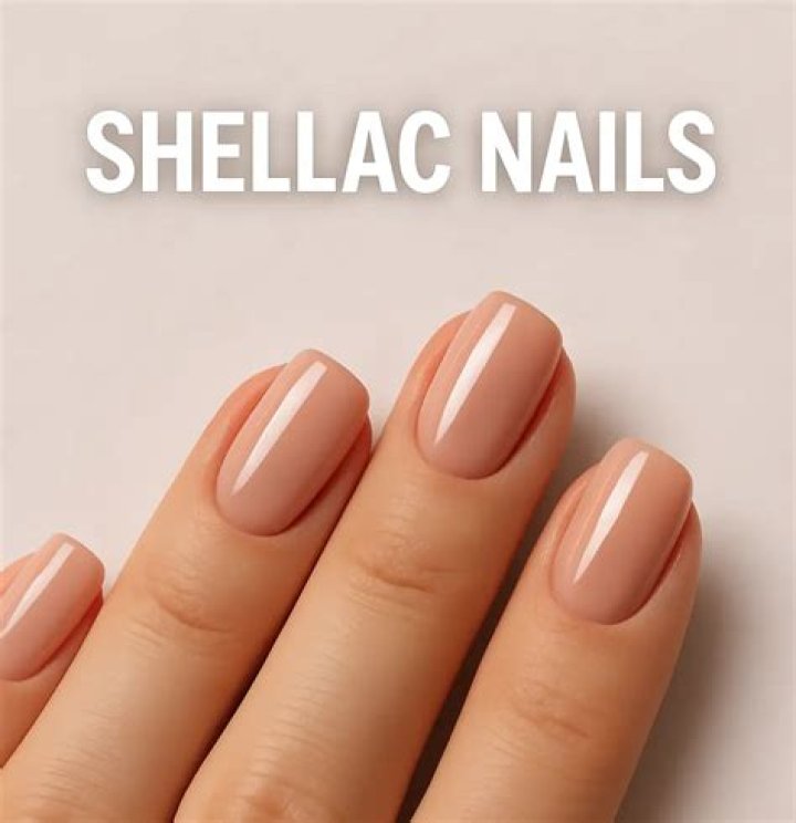 What is a shellac stick?