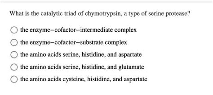 What is the catalytic triad of chymotrypsin a type of serine protease?