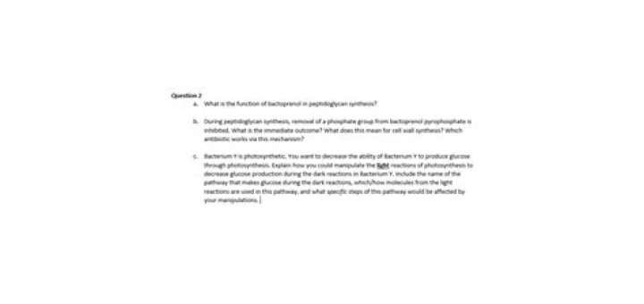 What is the function of Bactoprenol?