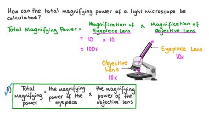 What is the magnification of the high power objective?