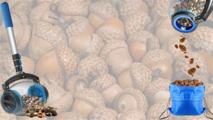 What machine will pick up acorns?