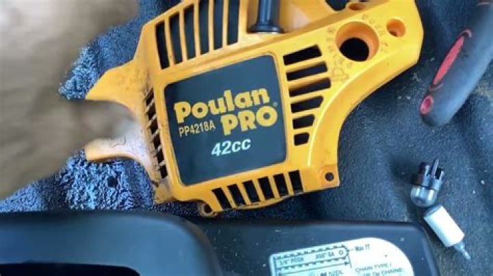 What type of gas does a Poulan Pro use?