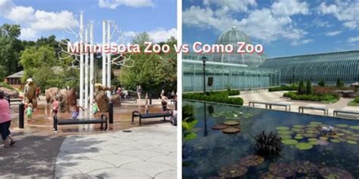 What zoo is better Minnesota or Como?