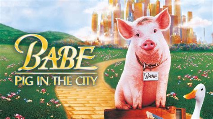 Where was Babe the pig filmed?