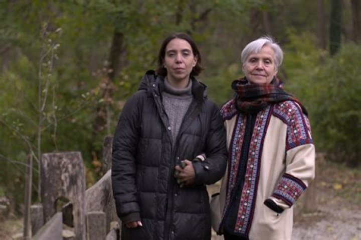 Who Is Jamison Bachman? Everything To Know About The Serial Squatter