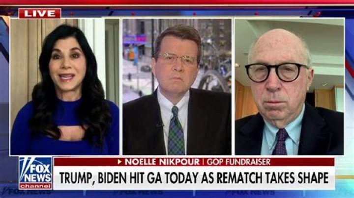 Who Is Noelle Nikpour On Fox News? Facts To Know About The GOP Politician’s Family