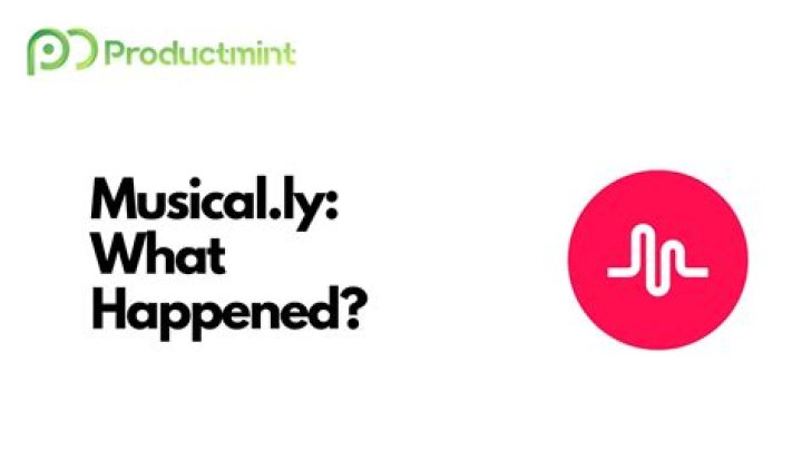 Why did musical ly die?